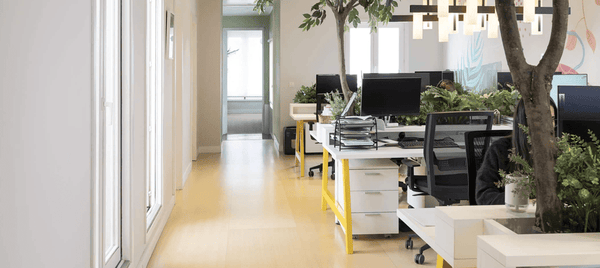 Cuanto cuesta reformar una oficina en Getxo