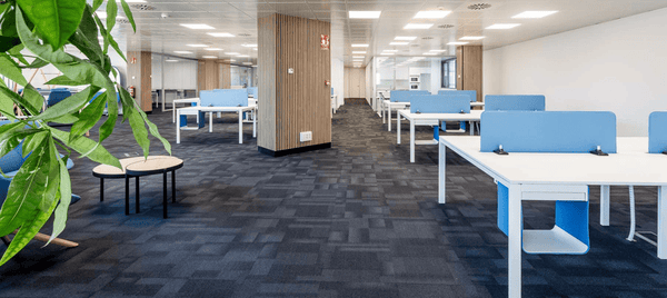 Cuanto cuesta reformar una oficina en Erandio