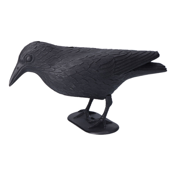 Crow Scares Away Birds 36x13x18cm