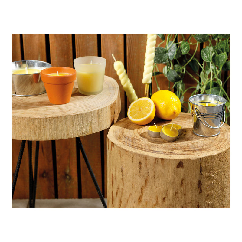 Citronella Set 144 Assorted Pieces