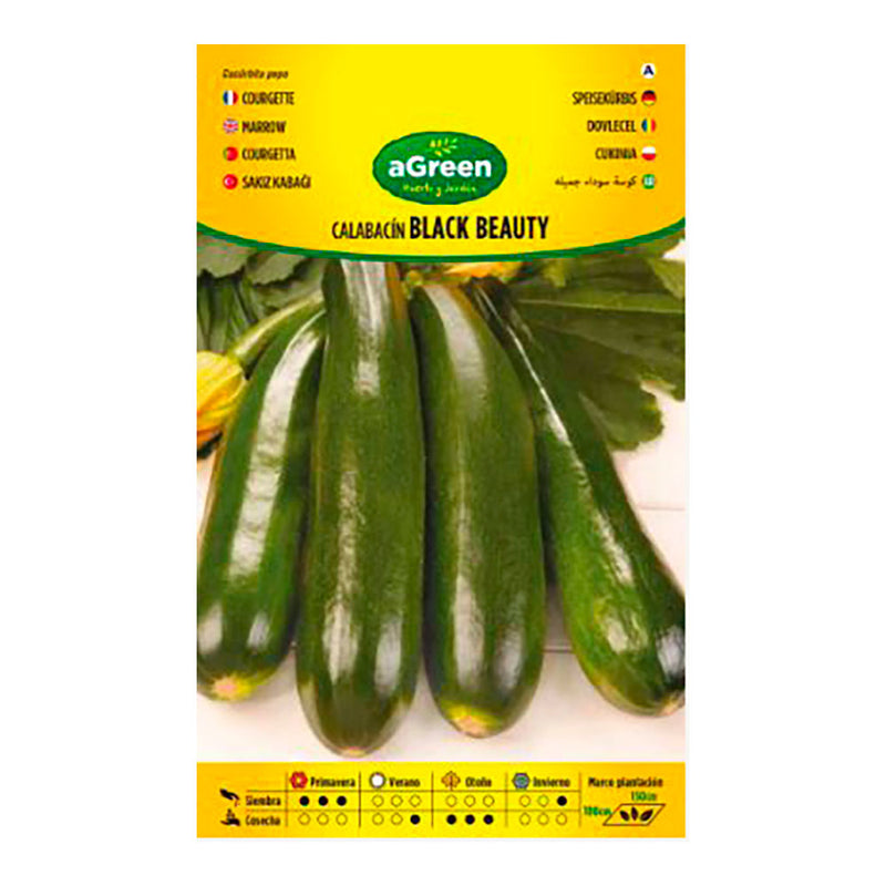 Black Beauty Agreen Zucchini Seeds Envelope