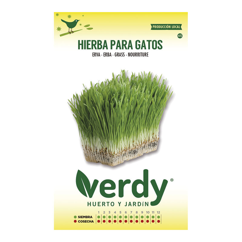 Sobre De Semillas De Hierba Para Gatos Verdy