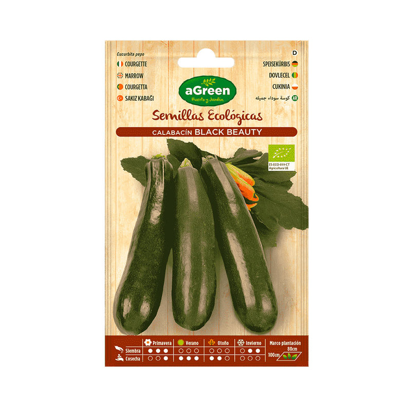 Black Beauty Agreen Eco Zucchini Seeds Envelope