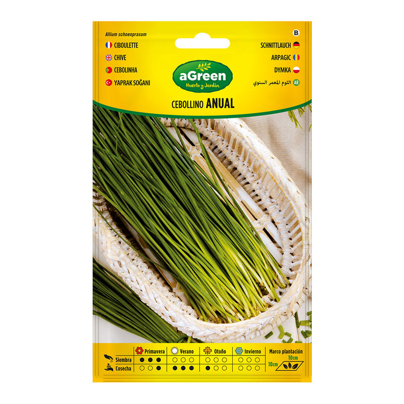 Envelope With Annual Chives Seeds 000239Bolsh Agreen