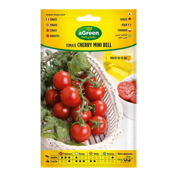 Mini Bell Tomato Seeds Envelope (Cherry Type) 000719Bolsh Agreen