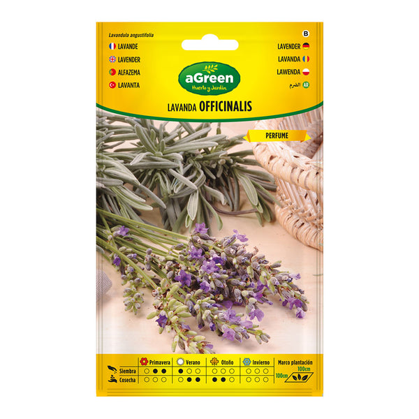 Envelope With Seeds Of Lavender Officinalis 301031Bolsh Agreen