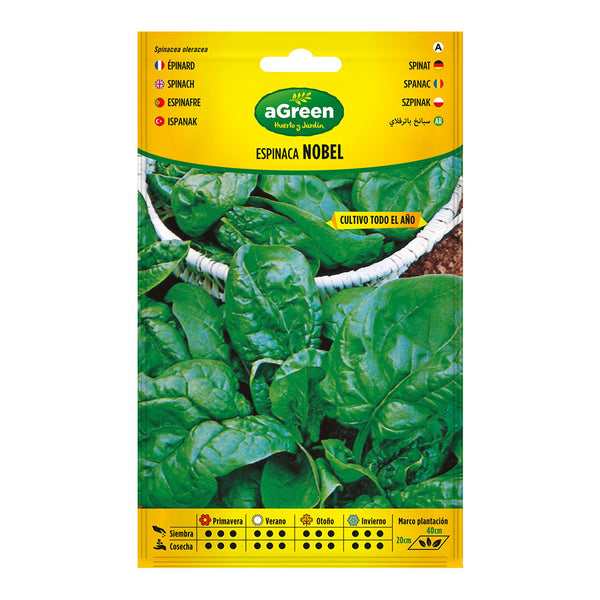 Nobel Spinach Seeds Envelope 000383Bolsh Agreen