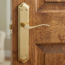 Manilla MASTER acabado dorado satinado con placa ovalada curva para puertas