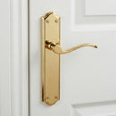 Manilla modelo '1101' con placa curva de aluminio en acabado dorado para puertas