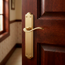 Handle model '1101' with oval plate satin gold finish for doors 