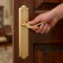 Handle model '1101' with oval plate satin gold finish for doors 