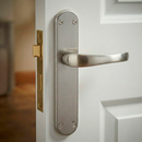 Manilla modelo '250' placa ovalada acabado en níquel satinado para puertas