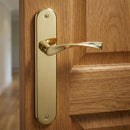 Manilla modelo '130' de zamak con placa ovalada en acabado dorado brillo para puertas