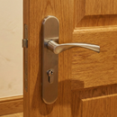 Manilla modelo '2015' de acero inoxidable ola con placa ovalada y tornillos ocultos para puertas