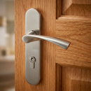 Manilla modelo '2015' de acero inoxidable ola con placa ovalada y tornillos ocultos para puertas