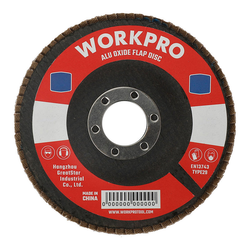 Flat Sheet Disc Ø100X16Mm 40 G. Workpro