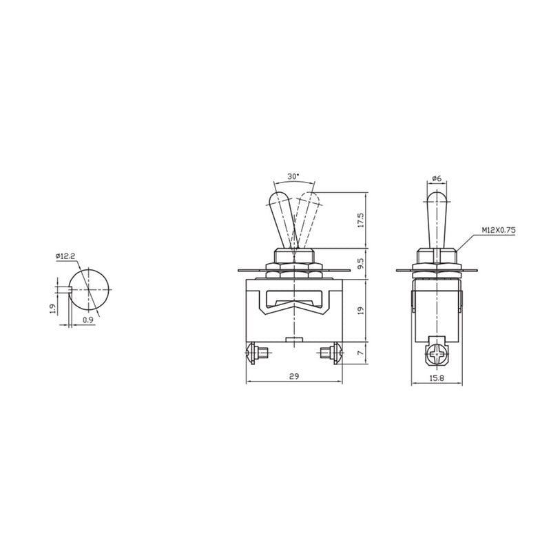 Single Pole Metal Tail Switch 10A 250V