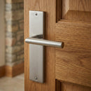 Manilla con placa rectangular de acero inoxidable para puertas modelo '503'