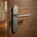 Manilla de acero inoxidable con placa ovalada y tornillos ocultos para puertas modelo '503'