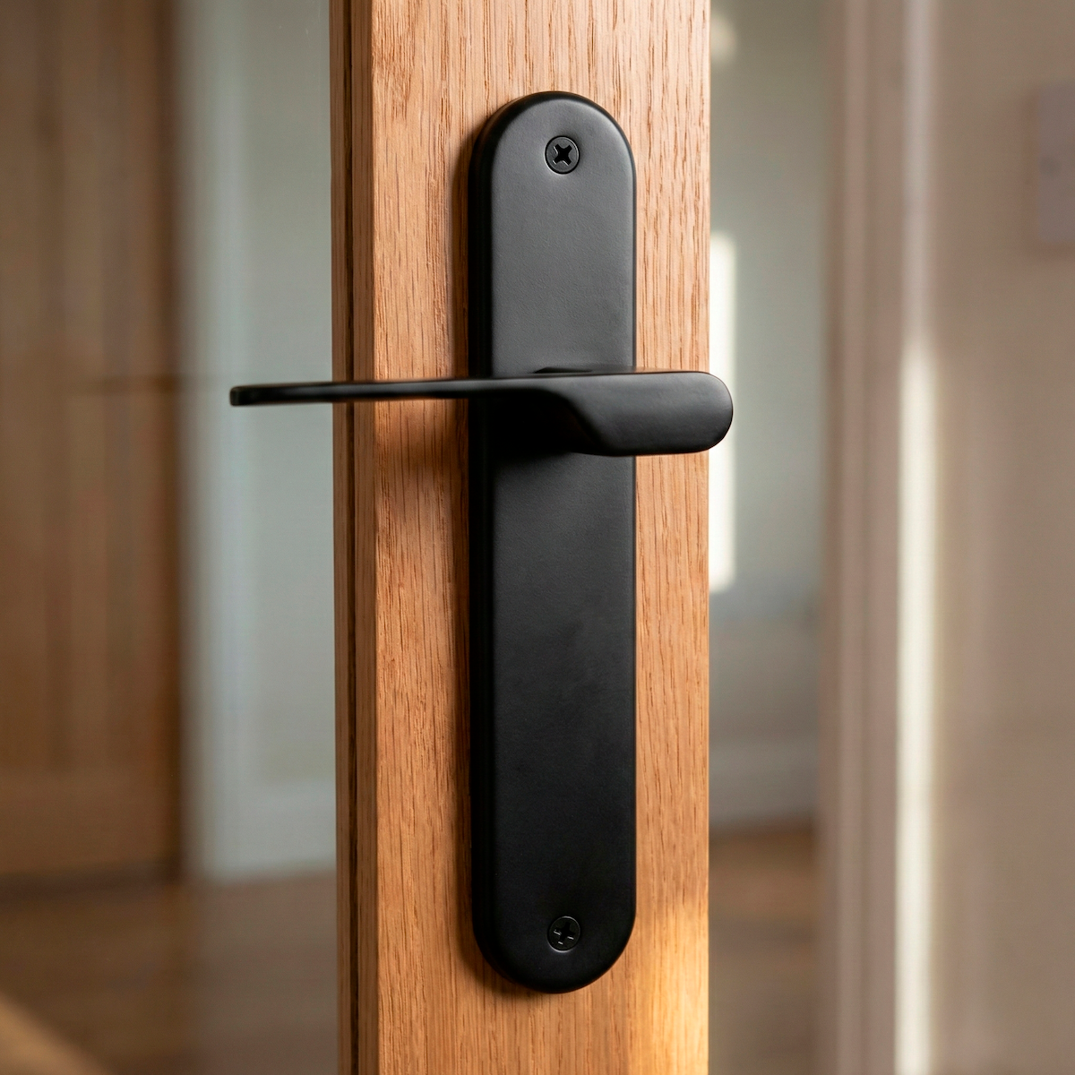 Manilla modelo '640' con placa oval para puertas de zamak en acabado negro con asa moderna