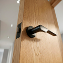 Manilla de zamak modelo 640 con roseta redonda en acabado negro para puertas