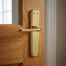 Manilla modelo '6501' de zamak acabado dorado brillo con placa ovalada para puertas