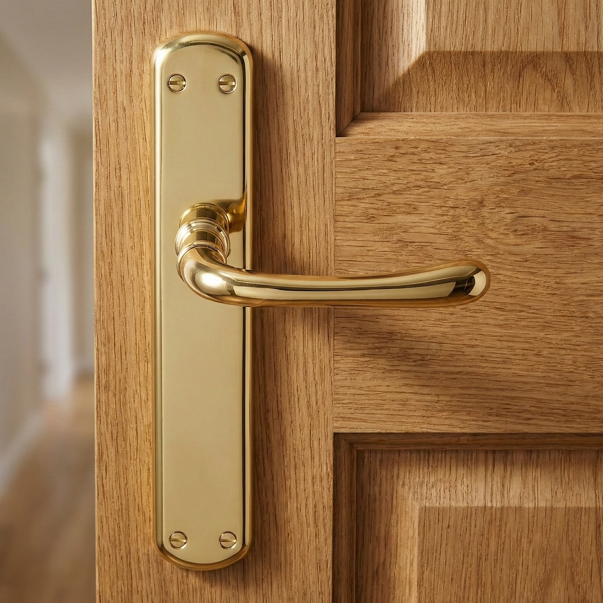 Manilla modelo '6501' de zamak acabado dorado brillo con placa ovalada para puertas