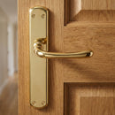 Manilla modelo '6501' de zamak acabado dorado brillo con placa ovalada para puertas