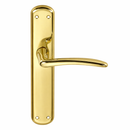 Manilla modelo '6601' con placa ovalada de zamak en acabado dorado brillo para puertas