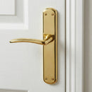 Manilla modelo '6601' con placa ovalada de zamak en acabado dorado brillo para puertas