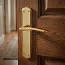 Manilla modelo '6601' con placa ovalada de zamak en acabado dorado brillo para puertas