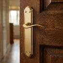 Juego de Manillas latonadas con placa ovalada para puertas