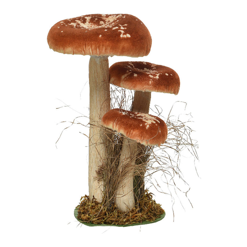 Set of 3 Mushrooms on Moss 14x18x26cm Assorted Colors/Models