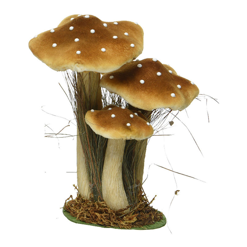 Set of 3 Mushrooms on Moss 14x18x26cm Assorted Colors/Models