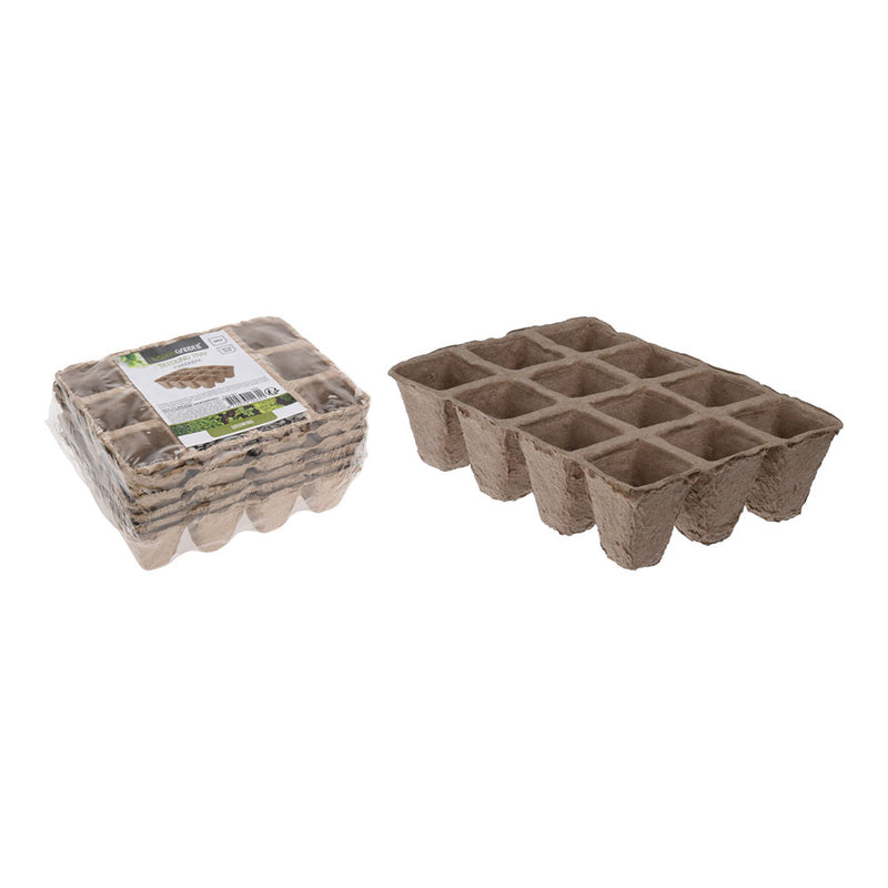 Seedling Pack of 6 Units 16x12x5cm