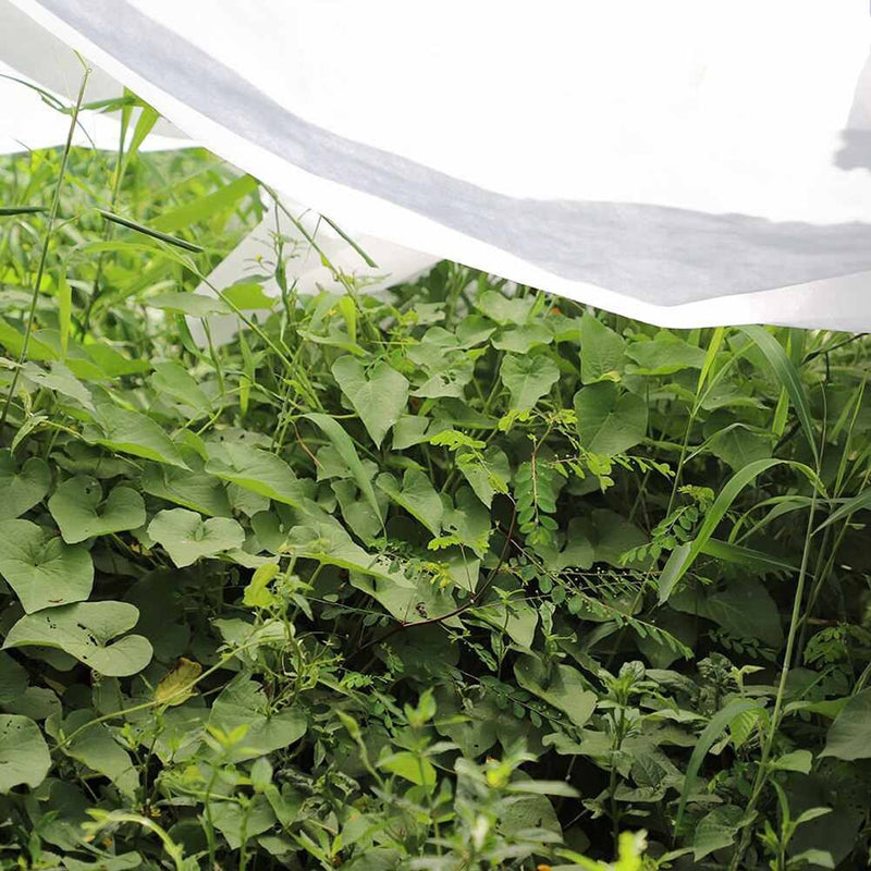 Crop Protection Fabric 1.5x5m 17gr/m² Biotop Garden