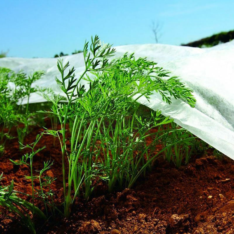 Crop Protection Fabric 1.5x5m 30gr/m² Biotop Garden