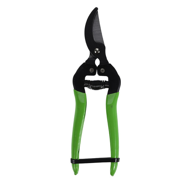 Pruning Shears With Green Handle Assorted Designs 80X175Mm Progarden