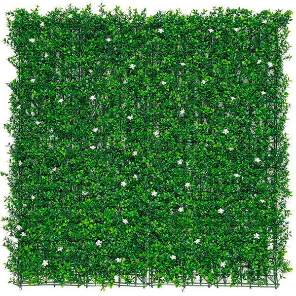 Vertical Garden With Green Jasmine Flowers 1 X 1 M