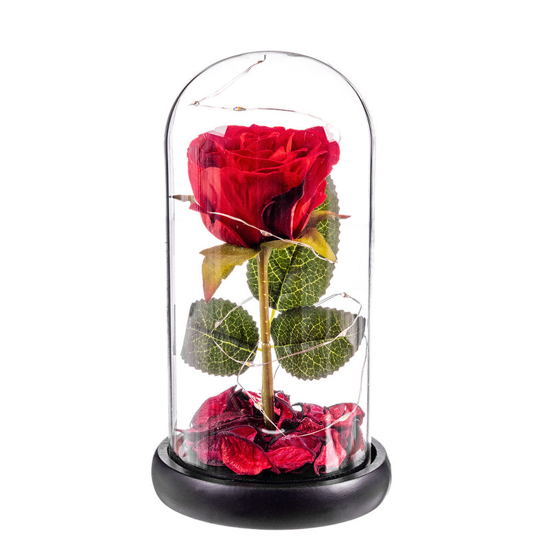 Eternal Red Rose Leds Glass Dome 20 Cm Caison