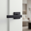 Manilla Dagda de acero inoxidable con Roseta cuadrada acabado negro para puertas