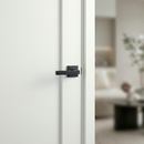 Manilla Dagda de acero inoxidable con Roseta cuadrada acabado negro para puertas