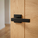 Manilla Dagda de acero inoxidable con Roseta cuadrada acabado negro para puertas