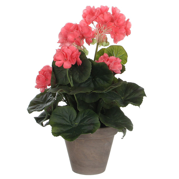 Salmon Geranium PVC With Gray Pot