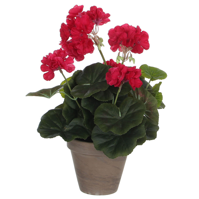 Dark Pink Geranium PVC With Grey Pot