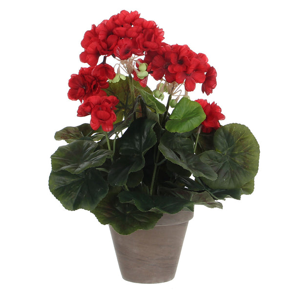 Red Geranium PVC With Gray Pot