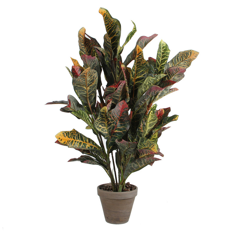 Croton Verde Pvc Con Maceta Gris