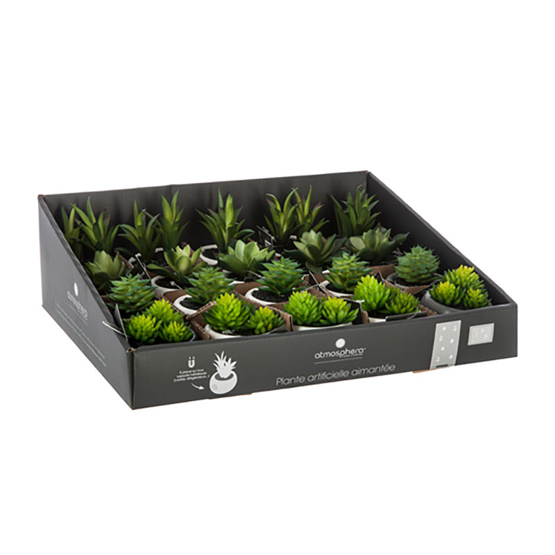 Mini Decorative Plants With Magnet Assorted Models 6cm