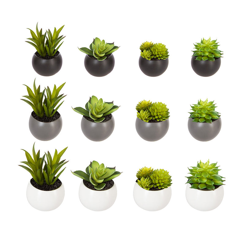 Mini Decorative Plants With Magnet Assorted Models 6cm