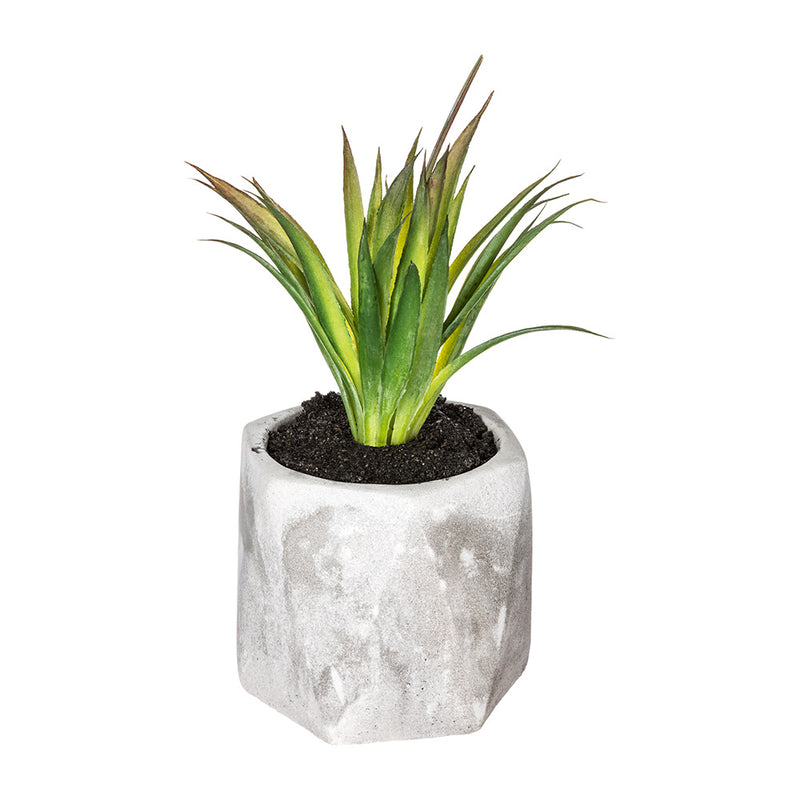 Decorative Plant With Pot 7x14cm Assorted Models